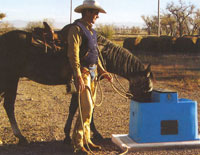 Automatic Water Feeders for Horses and other livestock